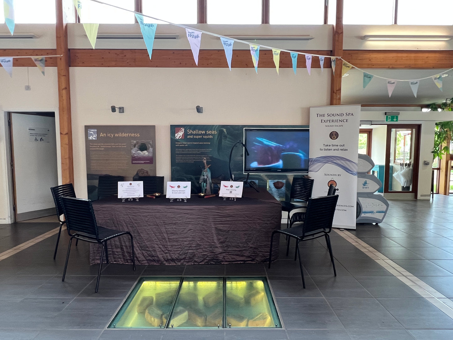 FREE Sound Spa Drop-in Sessions @ Castle Espie - Dragonfly Festival - 30 & 31 August 2025