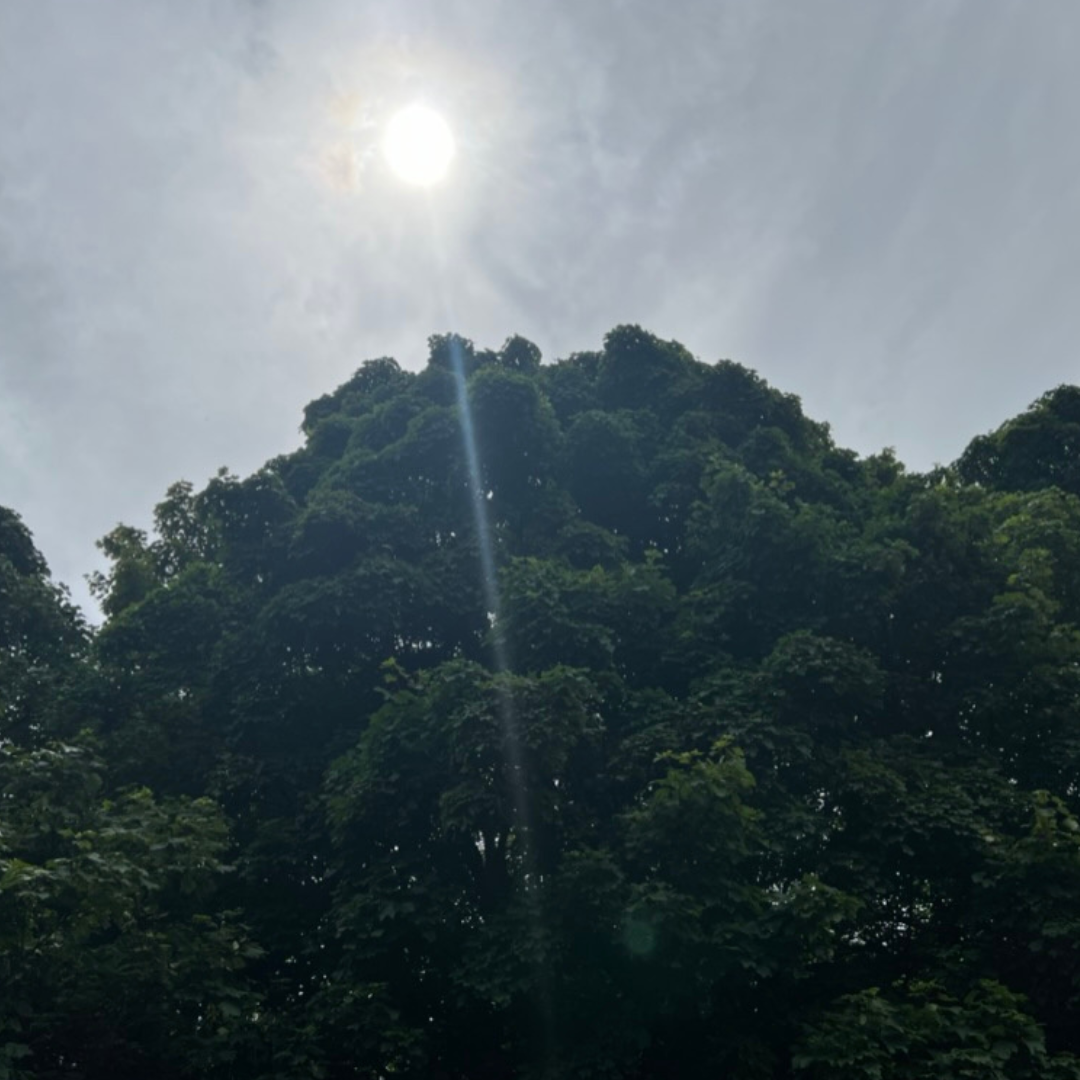 Temple of the Winds - Winter Solstice Sound Spa Retreat Experience