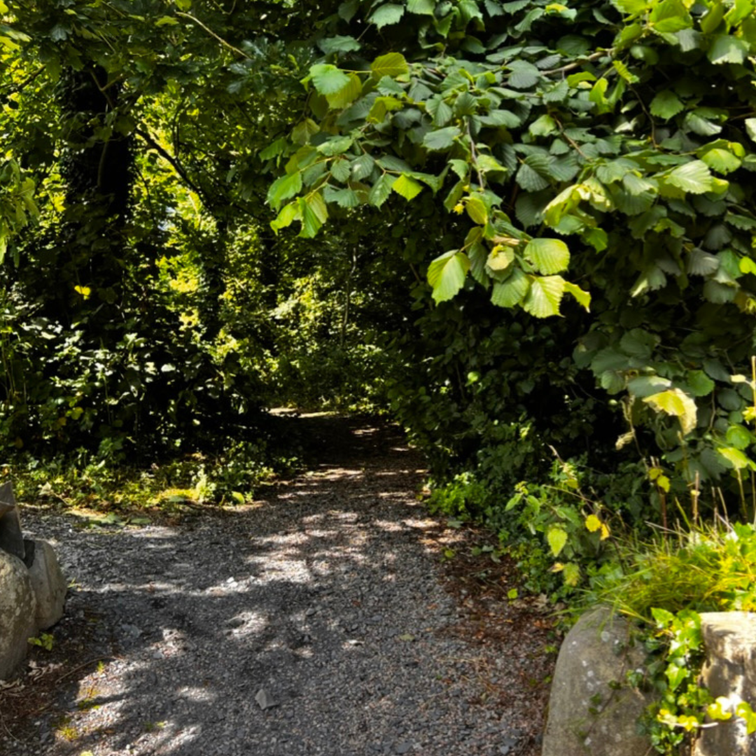 Temple of the Winds - Winter Solstice Sound Spa Retreat Experience