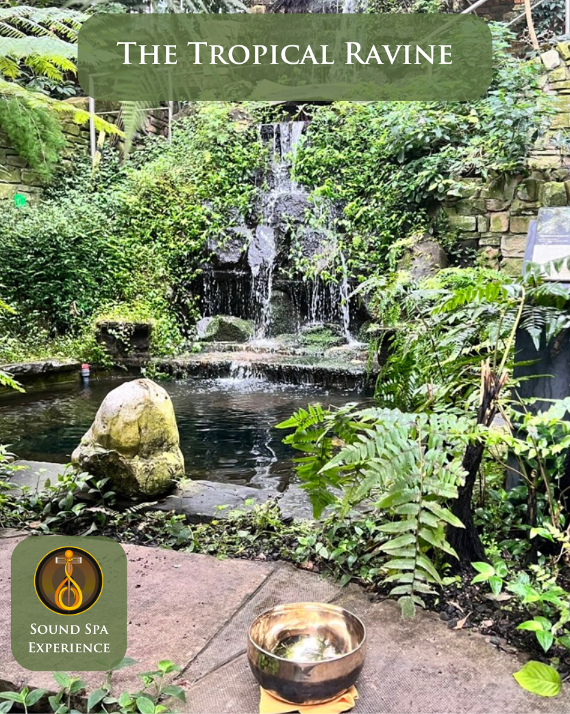 FULLY BOOKED! Tranquil Sound Experience in The Tropical Ravine With Tessa Ann