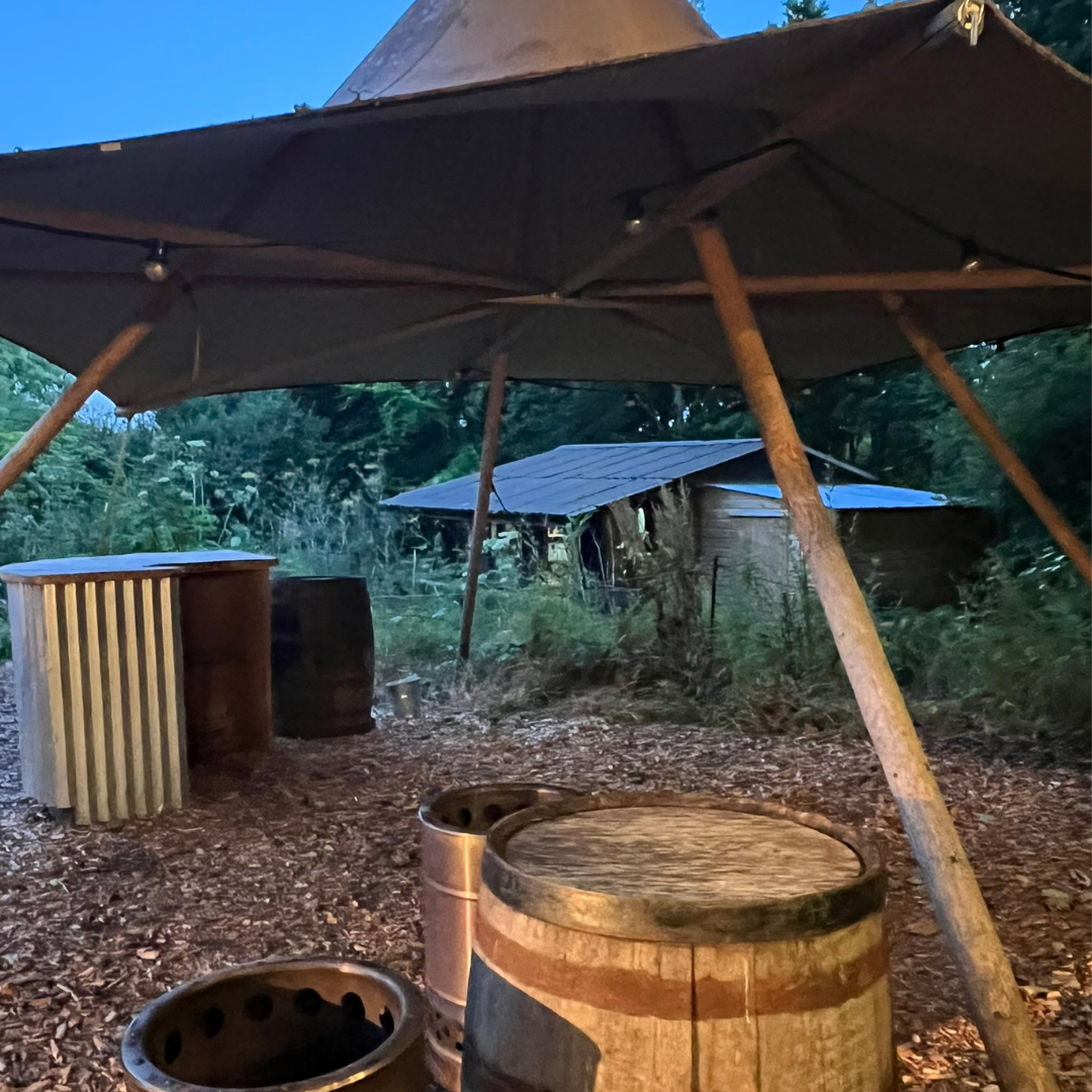 Full Moon Sound Experience at the Wild Tipi, Finnebrogue Woods - Wednesday 29 July 2026 @ 6.00 - 8.30 pm