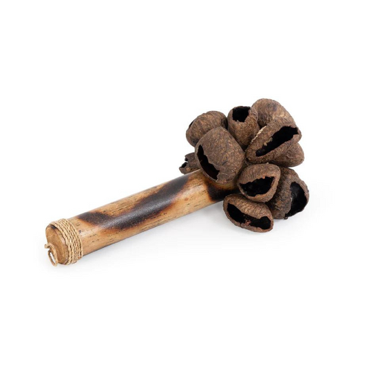 Pangi Nut Seed Shaker - For Rhythm Work and Shamanic Work