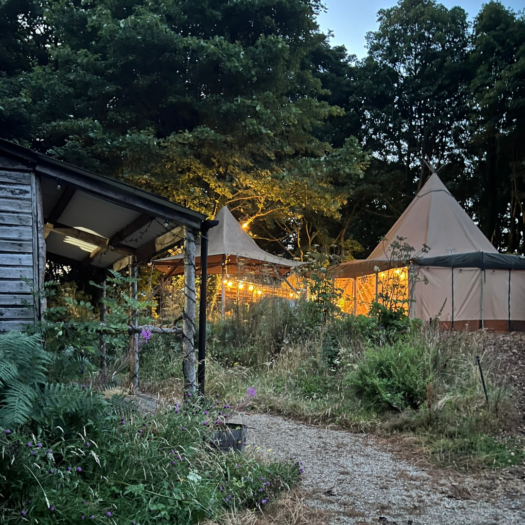 The Place to BE: Wild