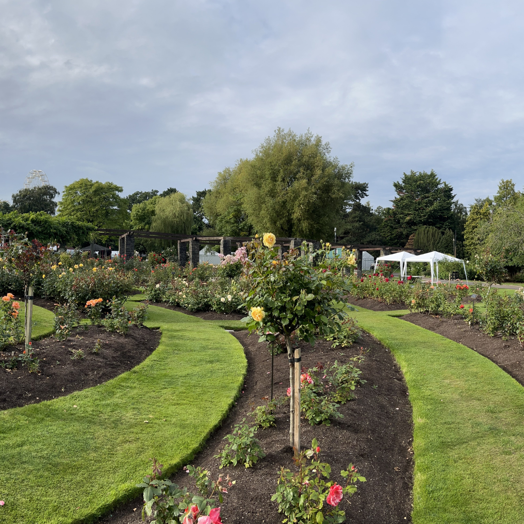 The Place to BE: Festival