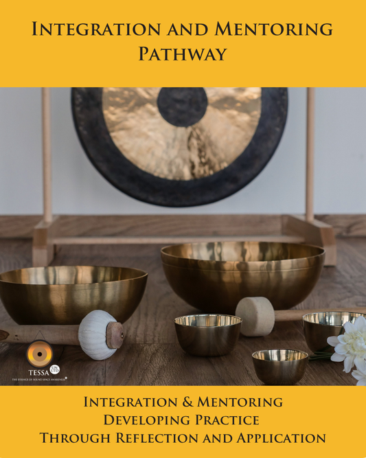 Integration and Mentoring Pathway