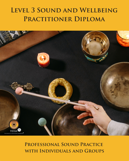 Level 3 Sound and Wellbeing Practitioner Diploma