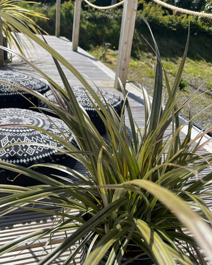 Summer Solstice Sound Bath Experience @ The Sound Spa - Monday 22 June 2026 - 7.00 - 8.45 pm