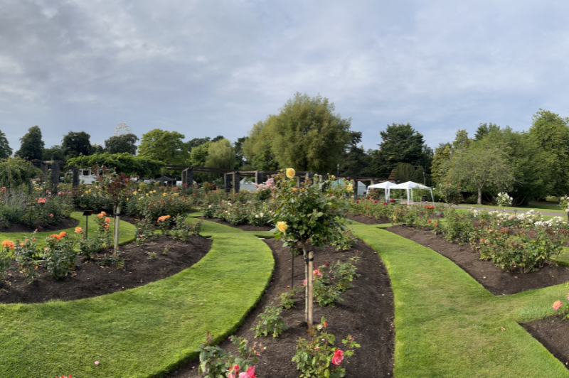 Belfast Mela - 30 August 2026 - World of Wellbeing