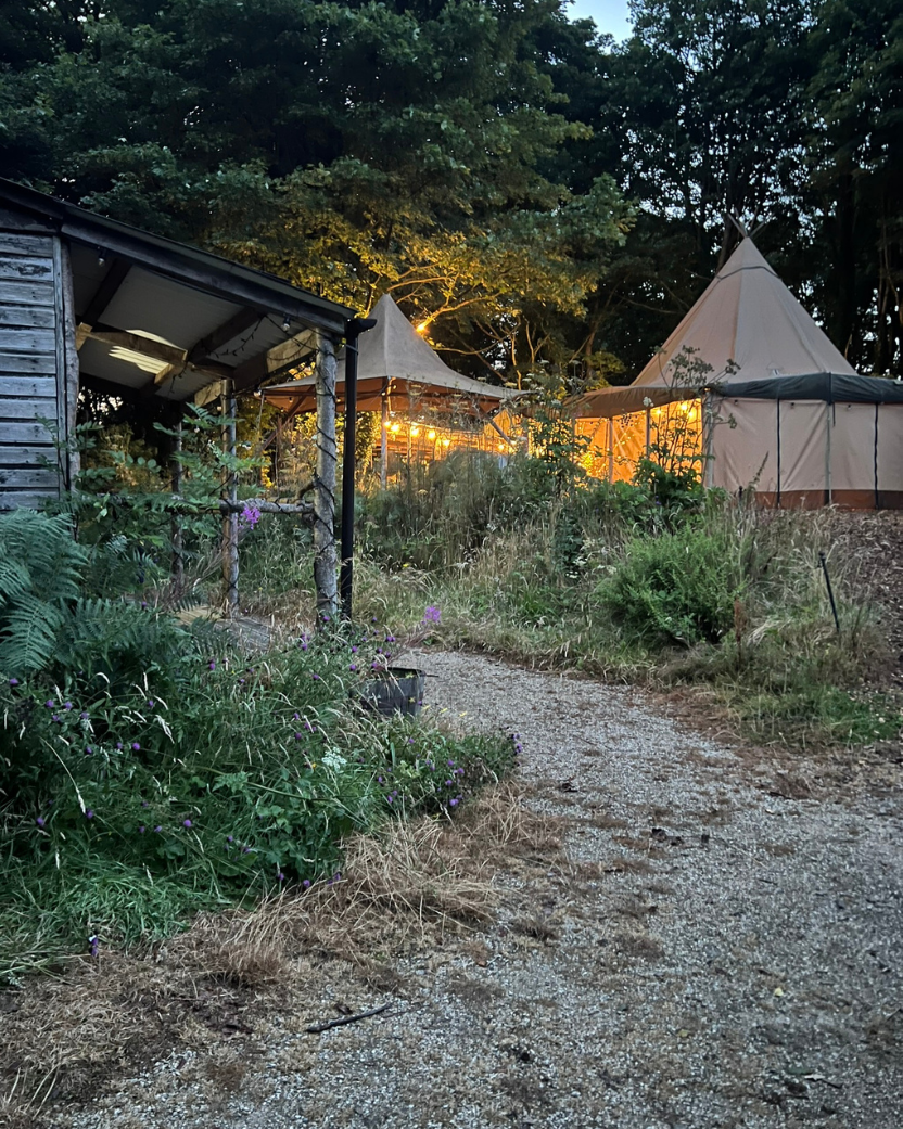 Full Moon Sound Experience at the Wild Tipi, Finnebrogue Woods - Wednesday 29 July 2026 @ 6.00 - 8.30 pm