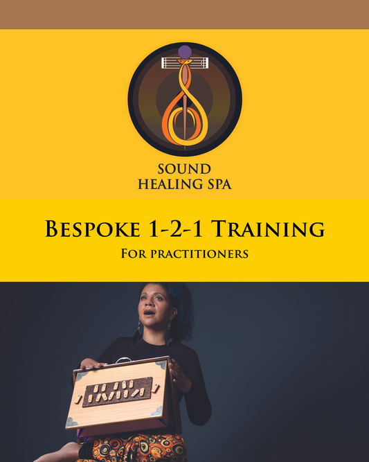 Bespoke 1-2-1  Therapeutic Sound Training Solution for Wellbeing Practitioners