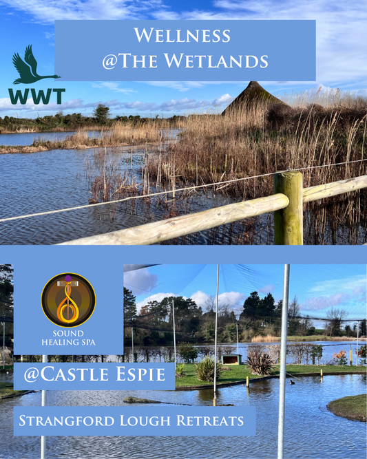 Wellness at Wetlands Retreat @ Castle Espie